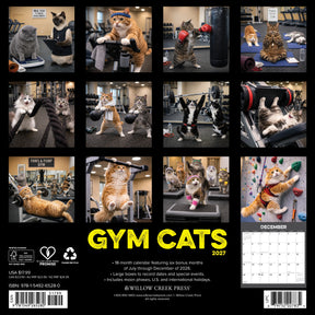Willow Creek Press - 2027 Gym Cats Calendar