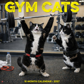Willow Creek Press - 2027 Gym Cats Calendar