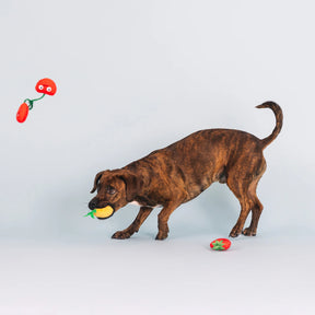 Petshop by Fringe Studio - Dog Toy Don't Panic, We're Organic