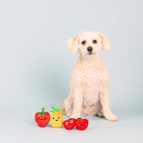 Petshop by Fringe Studio - Dog Toy Don't Panic, We're Organic