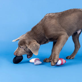 Petshop by Fringe Studio - Dog Toy Go For The Goal