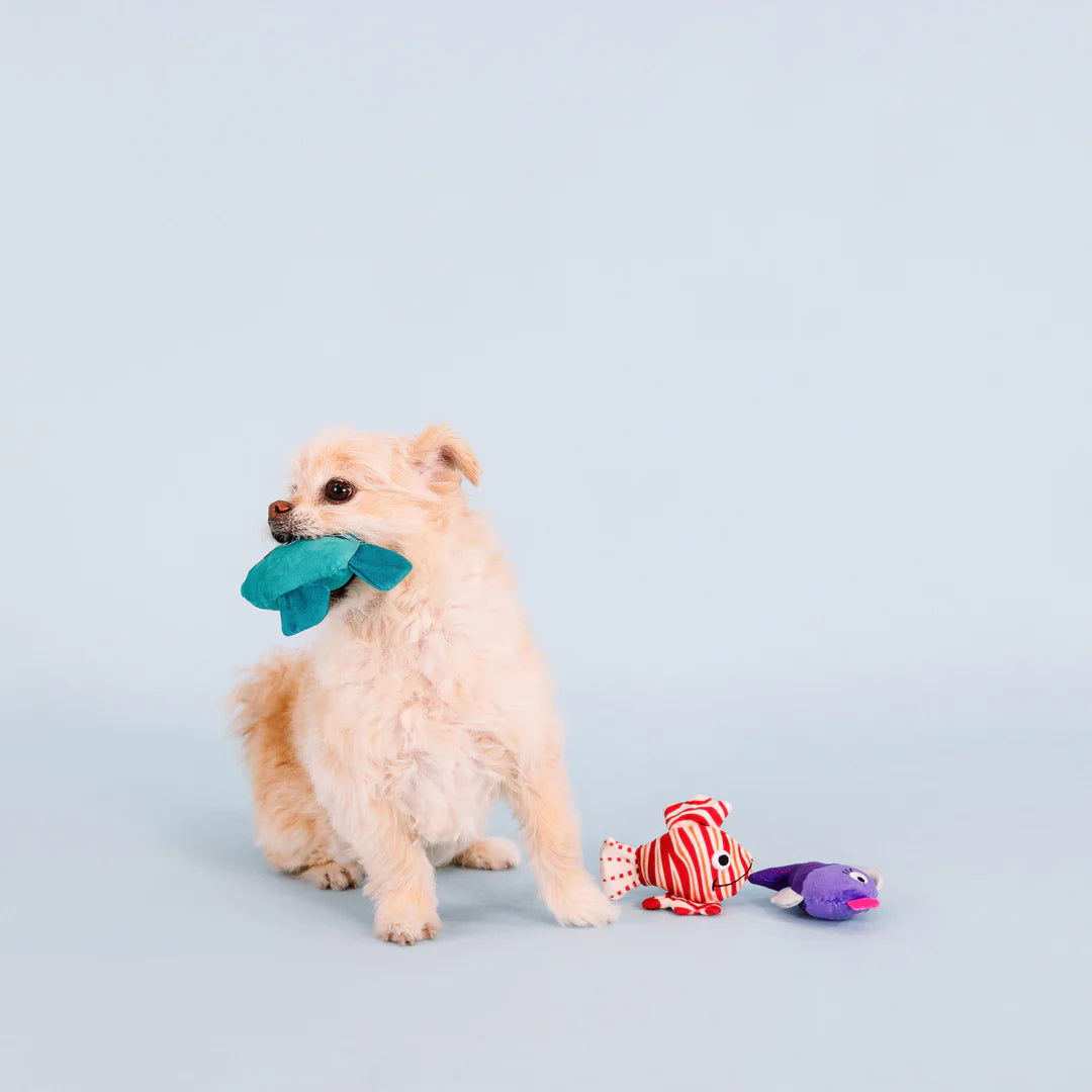Petshop by Fringe Studio - Any Fin is Possible Mini Dog Toys