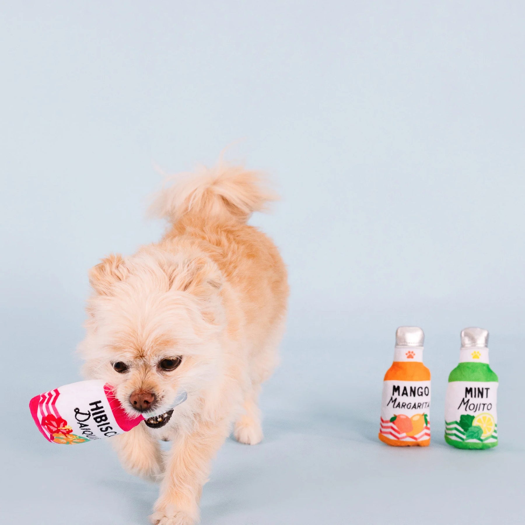 Petshop by Fringe Studio - Dog Toy From The Cooler (3 Piece Set)