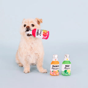 Petshop by Fringe Studio - Dog Toy From The Cooler (3 Piece Set)
