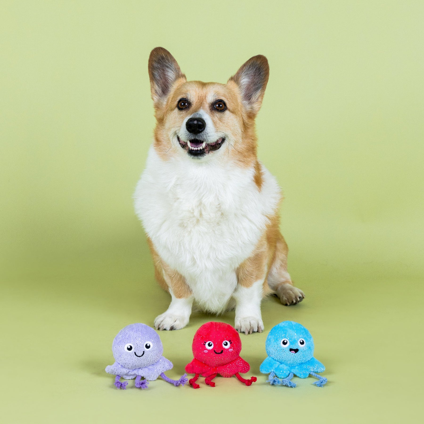 Petshop by Fringe Studio - Dog Toy 3 Piece Set Too Tentacool