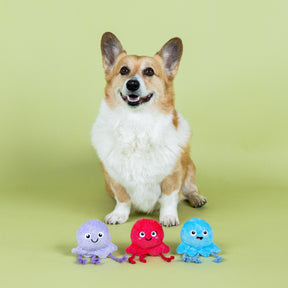 Petshop by Fringe Studio - Dog Toy 3 Piece Set Too Tentacool