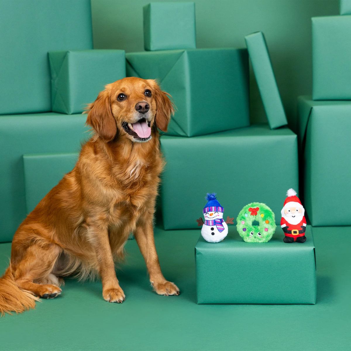 Petshop by Fringe Studio - Dog Toy 3 Pc Set We have Great	Chemis-Tree