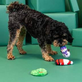 Petshop by Fringe Studio - Dog Toy 3 Pc Set We have Great	Chemis-Tree