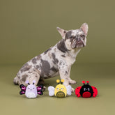 Petshop by Fringe Studio - Dog Toy Were Super Fly (3 Piece Set)
