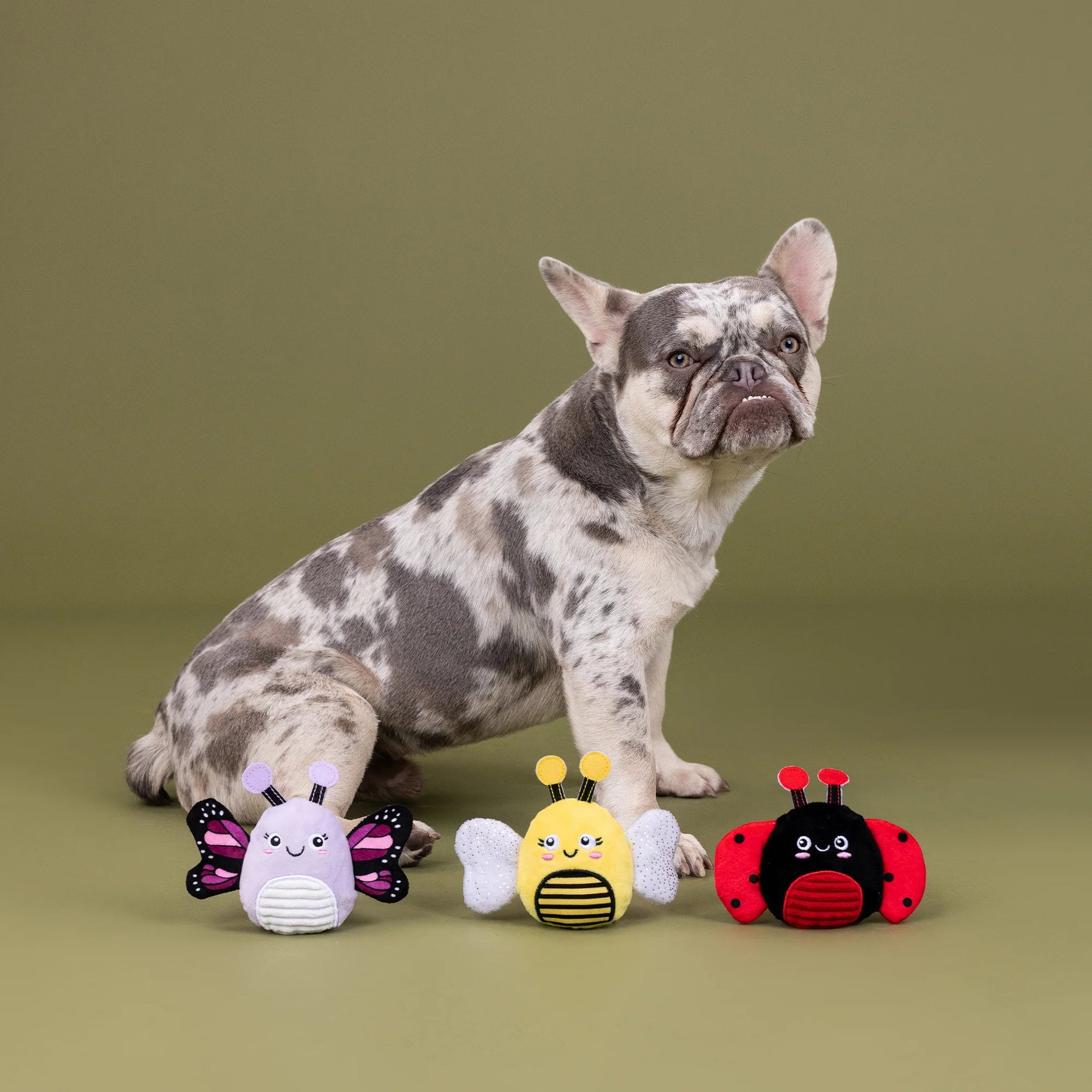 Petshop by Fringe Studio - Dog Toy Were Super Fly (3 Piece Set)