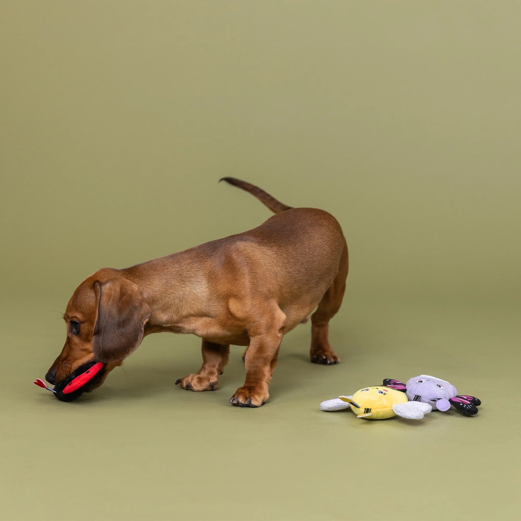 Petshop by Fringe Studio - Dog Toy Were Super Fly (3 Piece Set)