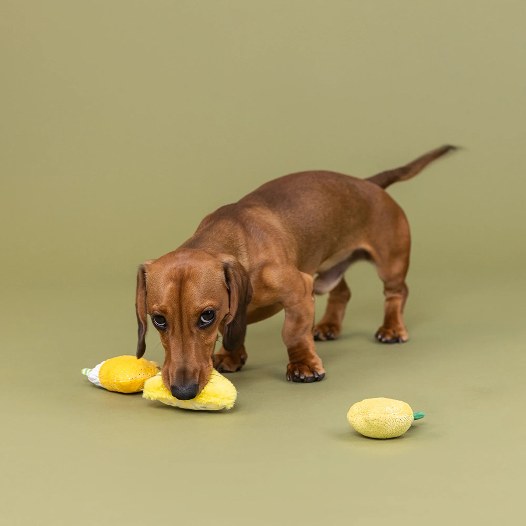 Petshop by Fringe Studio - Dog Toy Sour You Doing? (3 Piece Set)