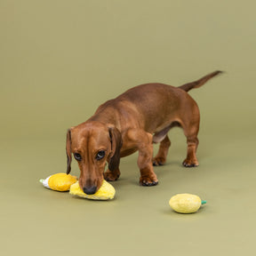 Petshop by Fringe Studio - Dog Toy Sour You Doing? (3 Piece Set)