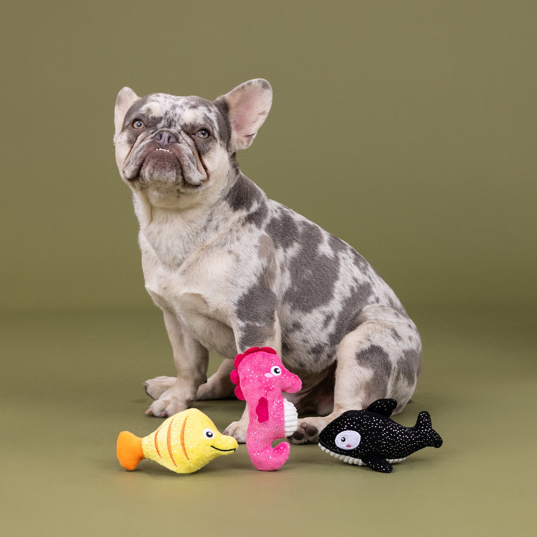 Petshop by Fringe Studio - Dog Toy High Fin Buds