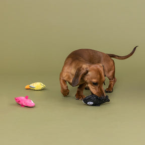 Petshop by Fringe Studio - Dog Toy High Fin Buds