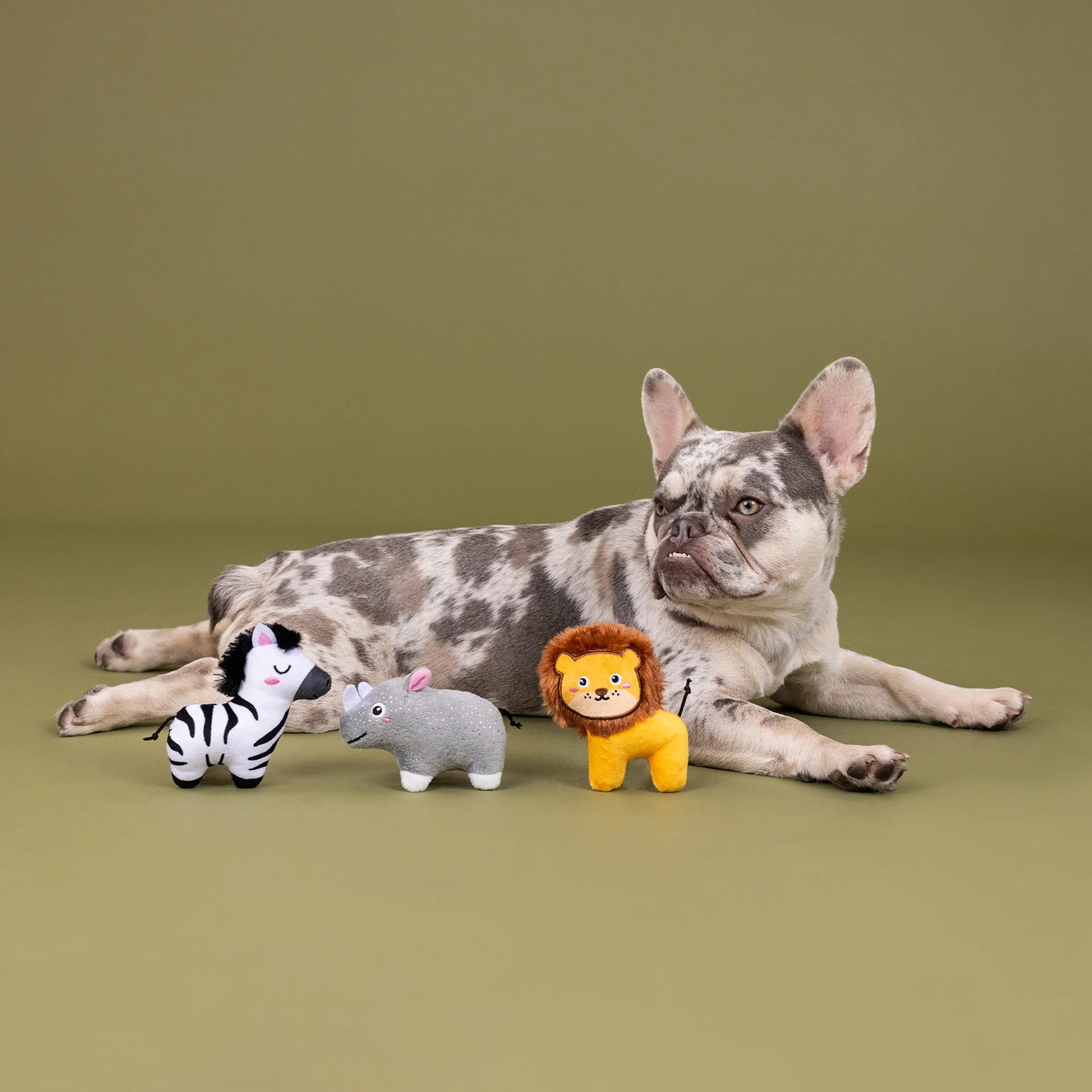 Petshop by Fringe Studio - Dog Toy 3 Pc Set MEET AT THE ZOO