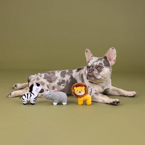 Petshop by Fringe Studio - Dog Toy 3 Pc Set MEET AT THE ZOO