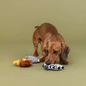 Petshop by Fringe Studio - Dog Toy 3 Pc Set MEET AT THE ZOO