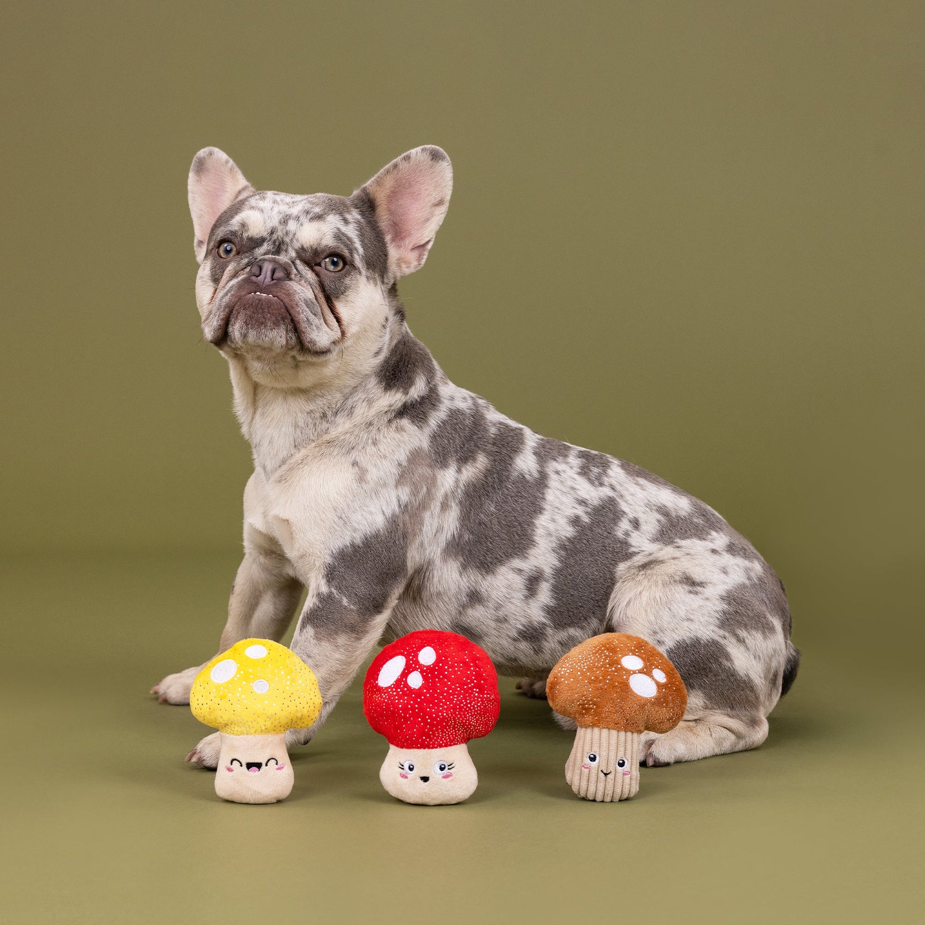 Petshop by Fringe Studio - Dog Toy Shrooming Mini Toys (set of 3)