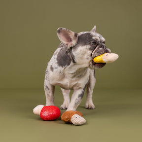 Petshop by Fringe Studio - Dog Toy Shrooming Mini Toys (set of 3)