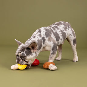 Petshop by Fringe Studio - Dog Toy Shrooming Mini Toys (set of 3)