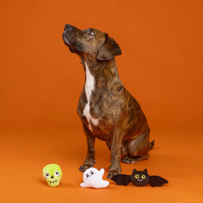 Petshop by Fringe Studio - Dog Toy Set 3 Pcs BOO YAH