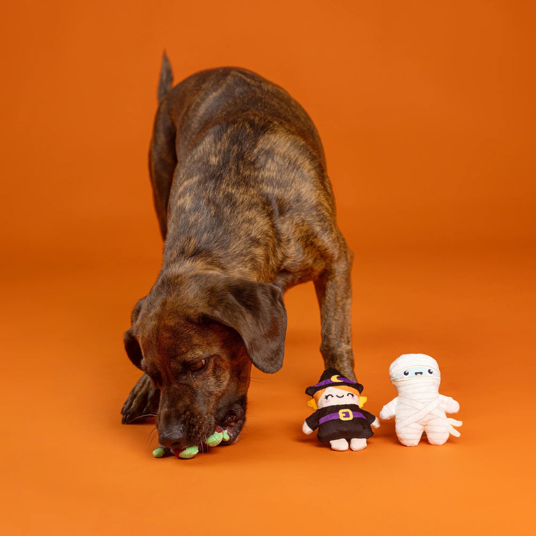 Petshop by Fringe Studio - Dog Toy 3 Pc Set GHOULS WANNA HAVE FUN