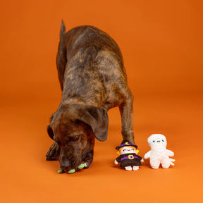 Petshop by Fringe Studio - Dog Toy 3 Pc Set GHOULS WANNA HAVE FUN