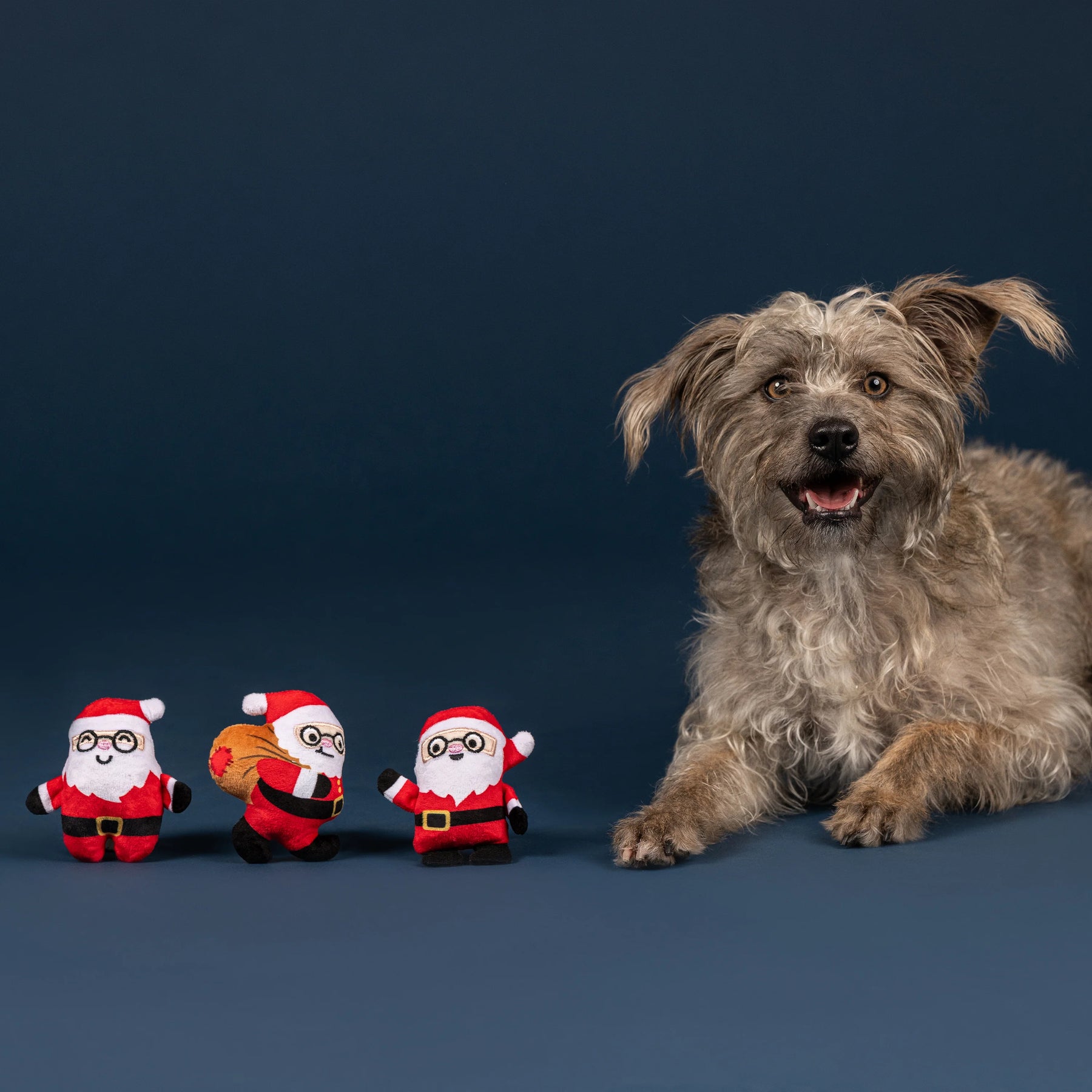 Petshop by Fringe Studio - Dog Toy Rebel Without A Claus (3 Piece Set)