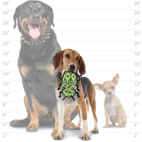 Tuffy Dog Toys - Tuffy Bug Beetle