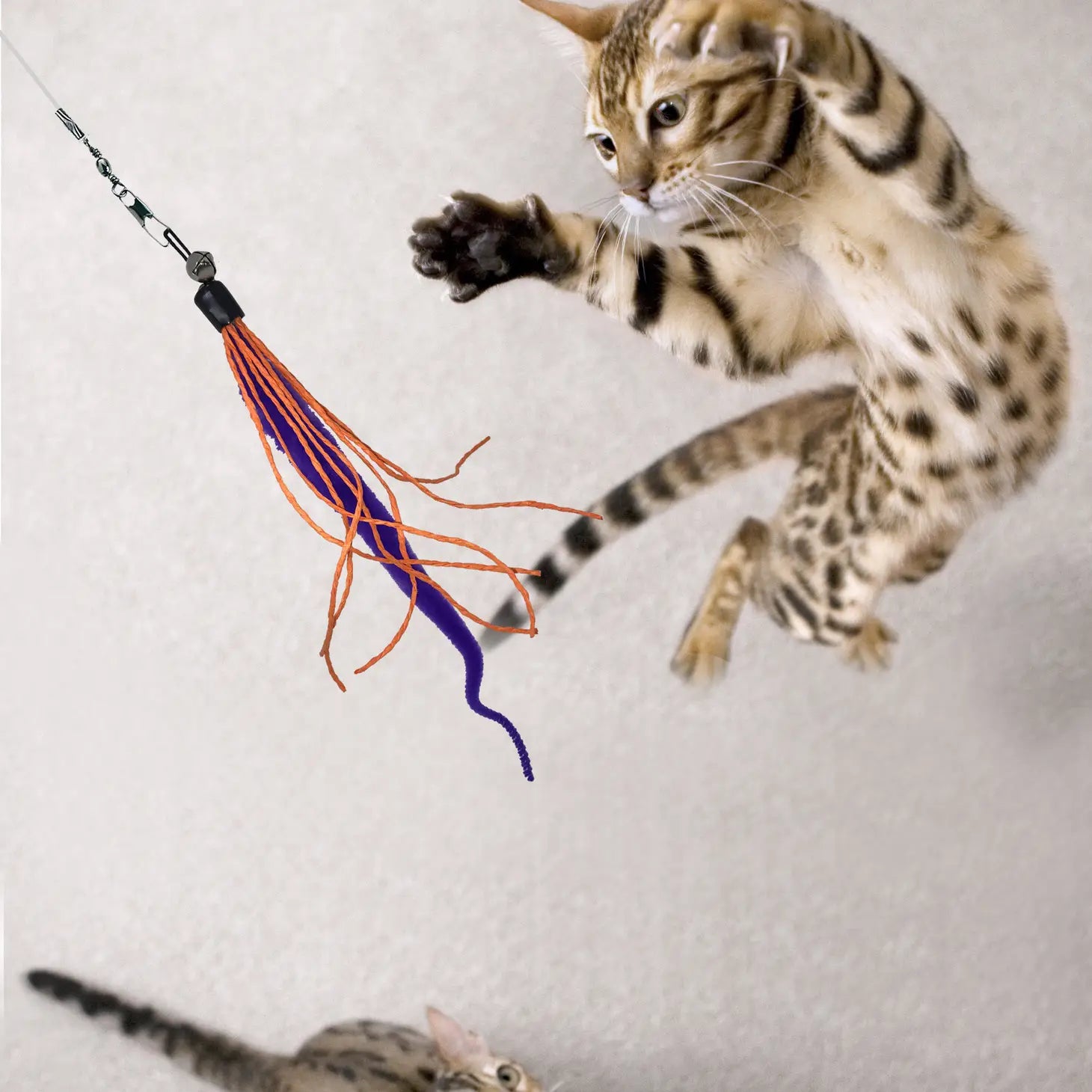 Dezi & Roo - Cat Toy Wiggly Wand
