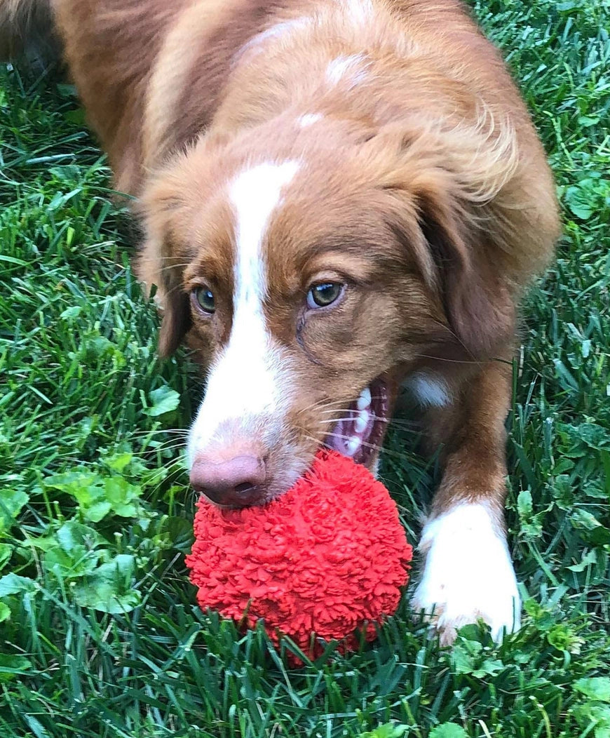 Lanco - Flower Squeaky Ball Dog Toy (Medium)