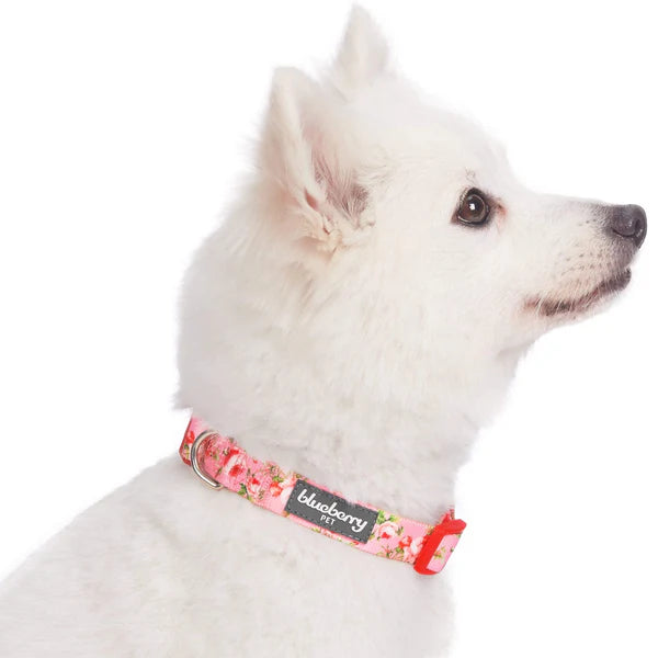 Rose Baby Pink | Petal Paws Floral Dog Collar