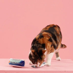Petshop by Fringe Studio - Cat Toy Tuna Right Meow