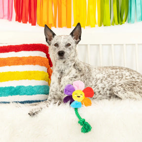 Petshop by Fringe Studio - Dog Toy How's It Growing