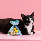 Petshop by Fringe Studio - Cat Toy Clownin' Around