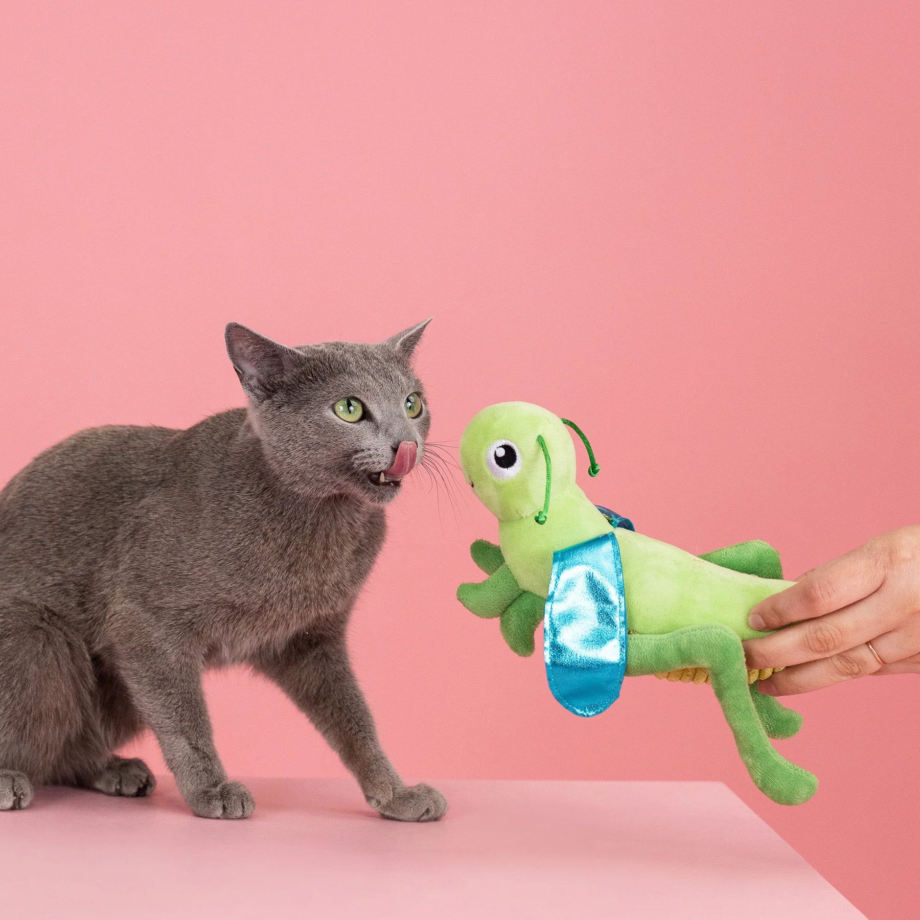 Petshop by Fringe Studio - Cat Toy Hop on By