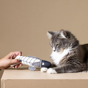 Petshop By Fringe Studio - Cat Toy Canvas Kicker Something's Fishy