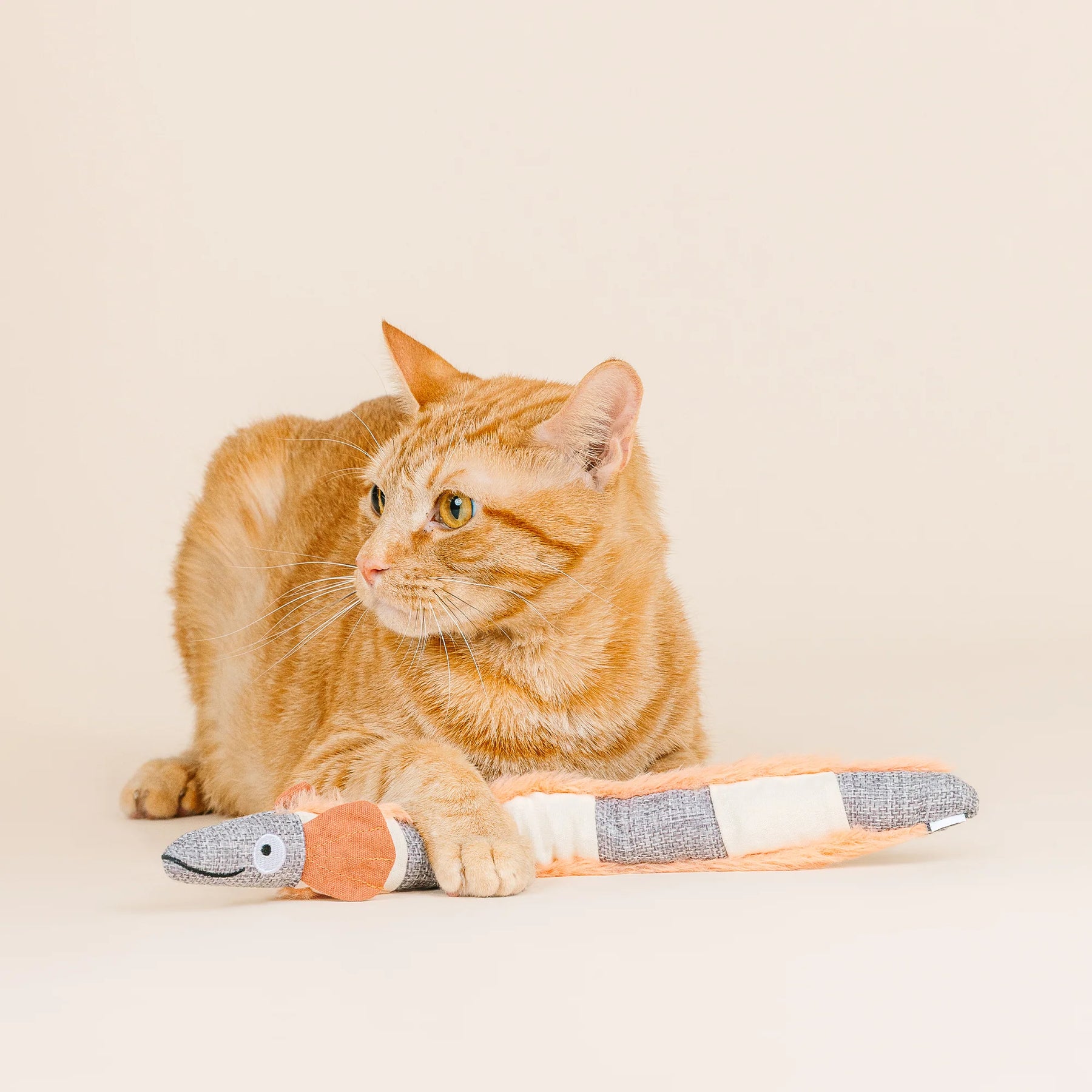 Petshop by Fringe Studio - Cat Toy Feeling Eel-Ectric Kicker