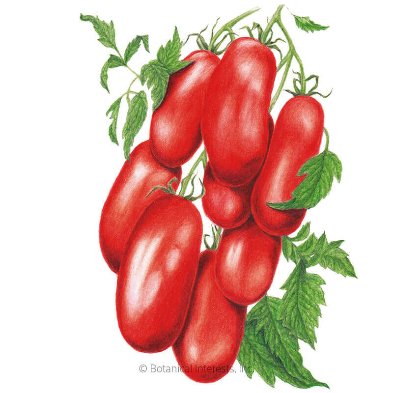 Botanical Interests, Inc. - Supremo Bush Roma Tomato Seeds