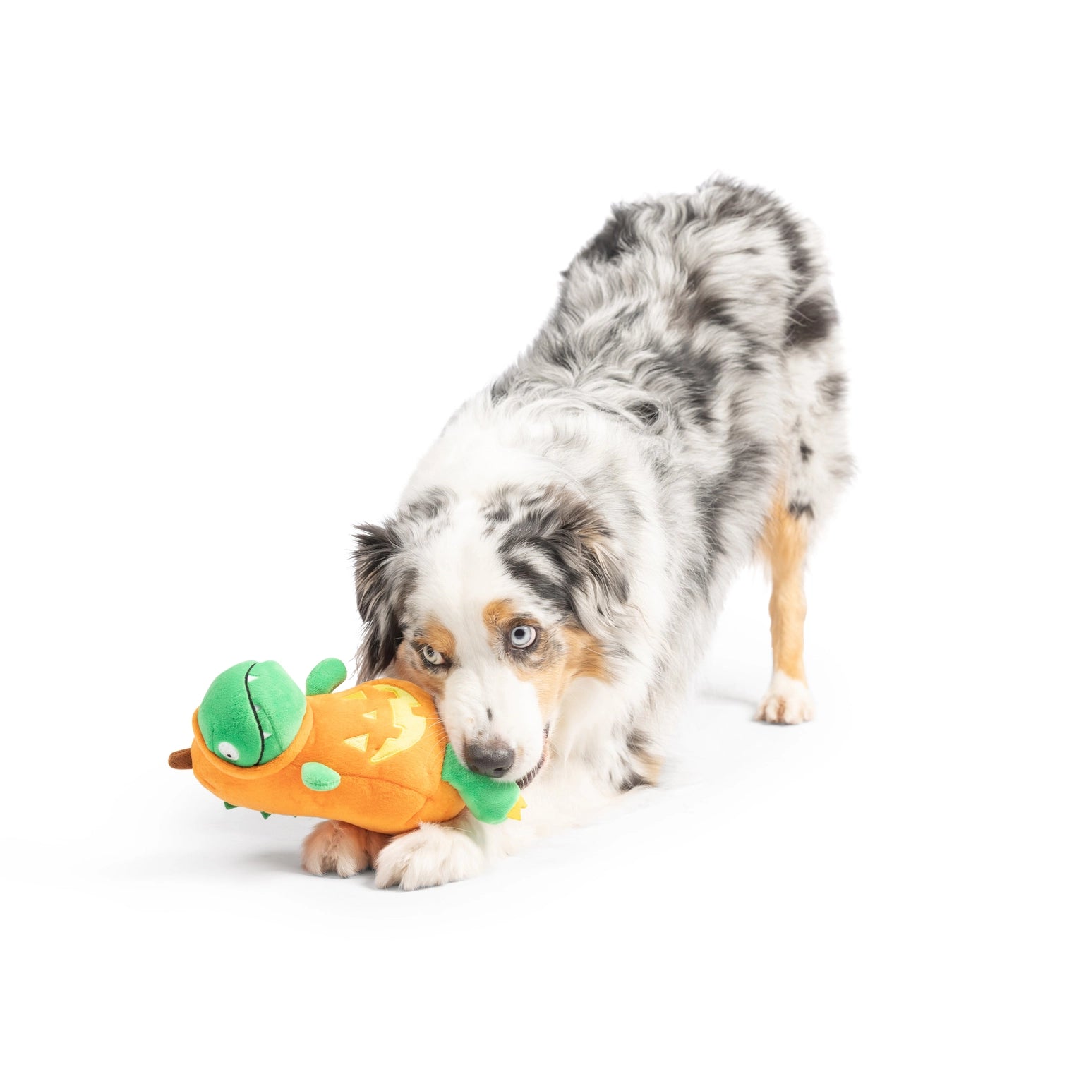 Huxley & Kent - Dog Toy Dino-Lantern