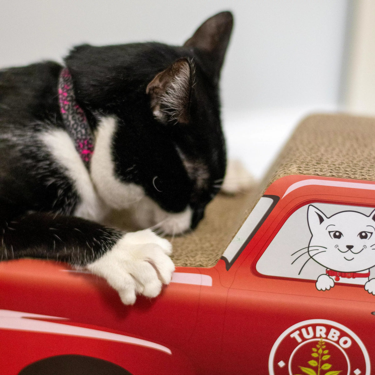 Coastal - Truck Scratcher