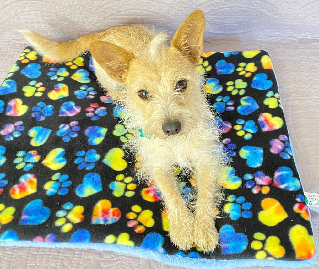 Screaming Pickles - Pet Bed Tie-Dye Paw Print