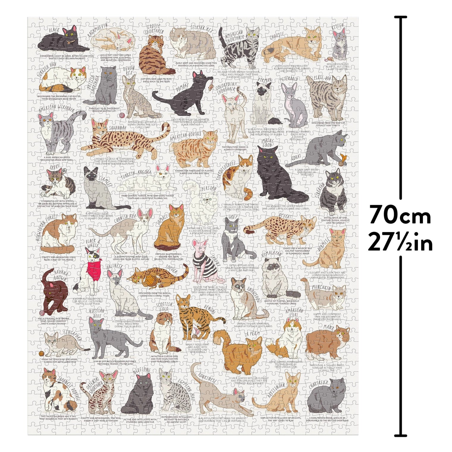Puzzle Cat Lover's (1000 Piece)