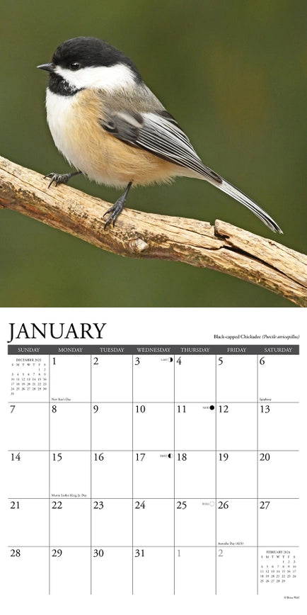 2024 Chickadees Calendar