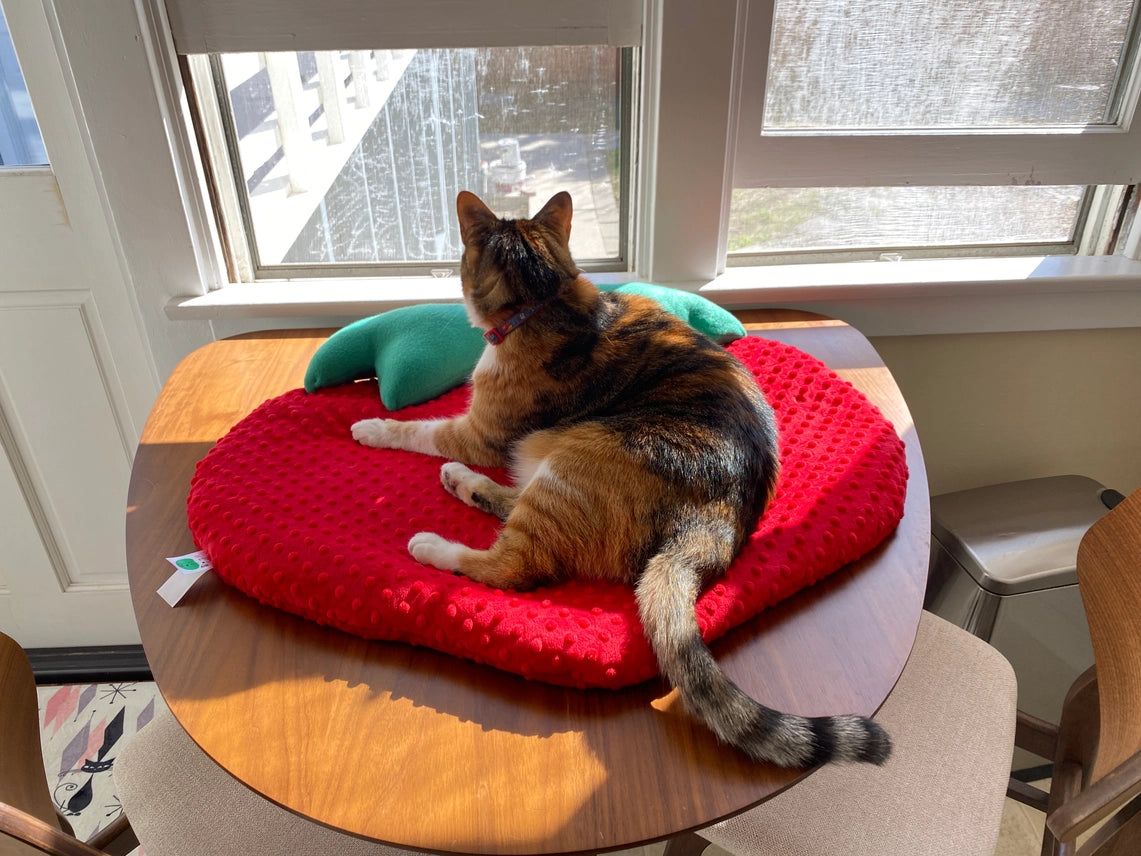 Screaming Pickles - Pet Bed Handmade Strawberry
