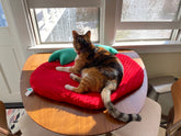 Screaming Pickles - Pet Bed Handmade Strawberry
