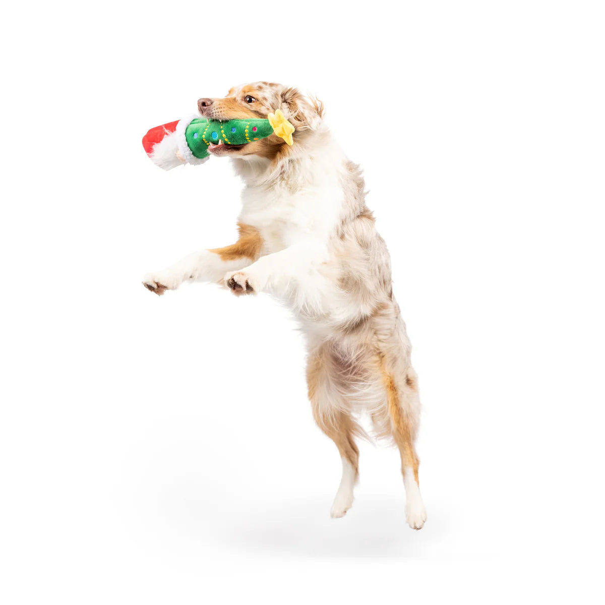 Huxley & Kent - Fetchies Let's Get Lit Gnome