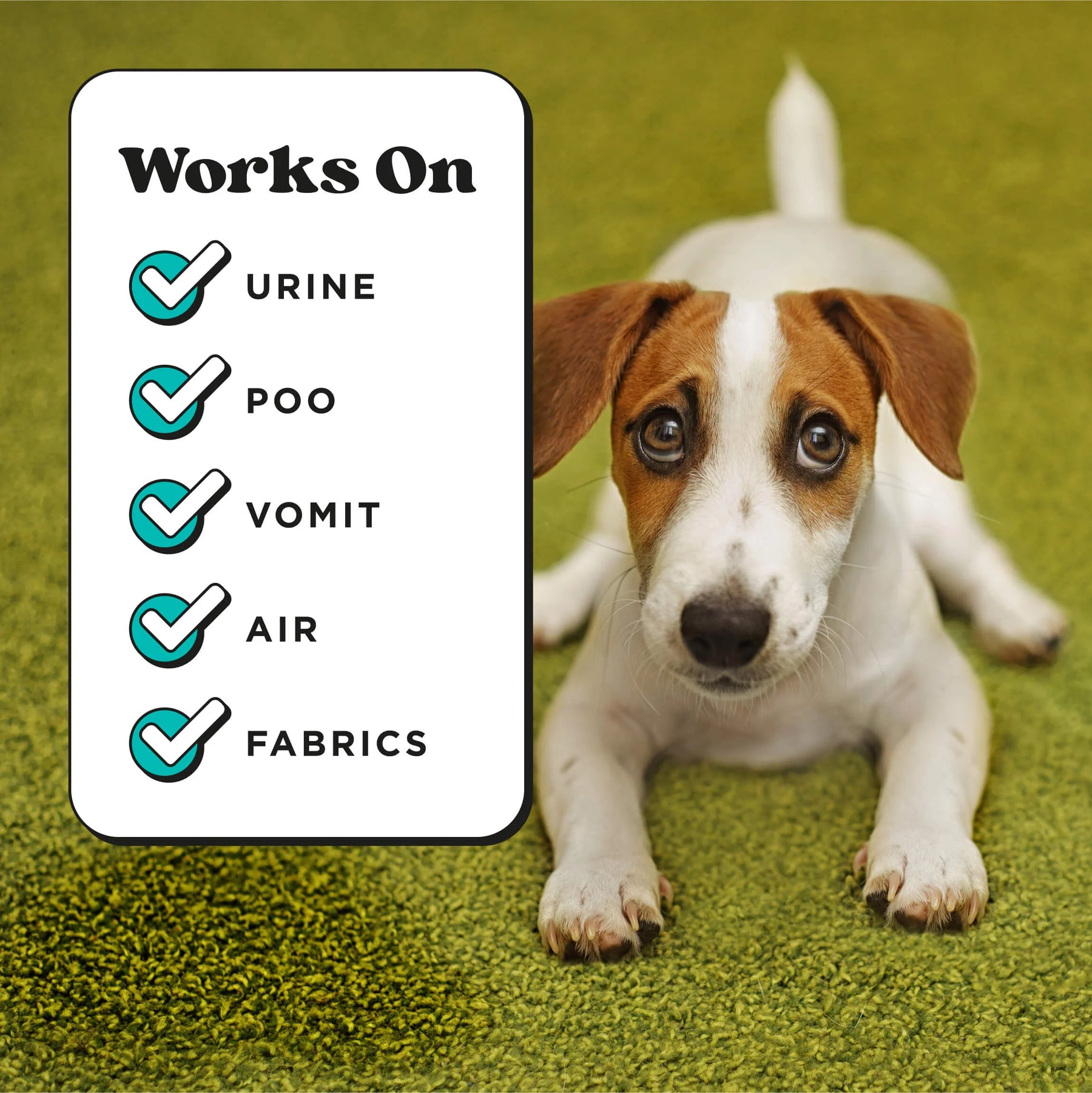 Pet-Pourri Pawsitively Fresh Air + Fabric Odor Refresher