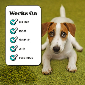 Pet-Pourri Pawsitively Fresh Air + Fabric Odor Refresher